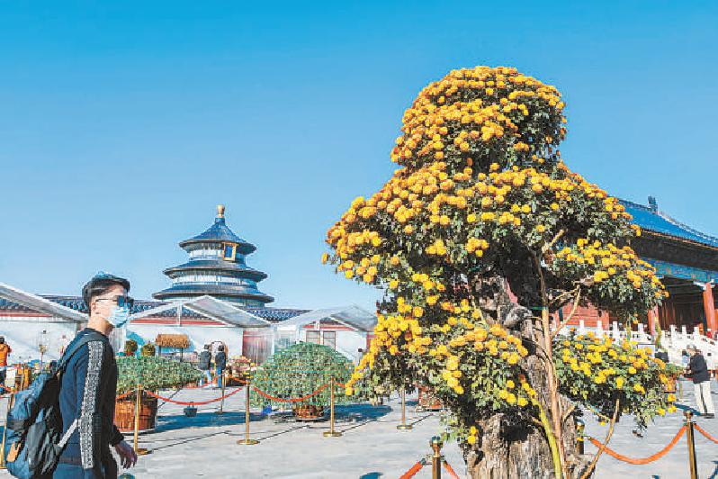 2021年10月22日起至11月21日，天壇公園舉辦第40屆菊花展