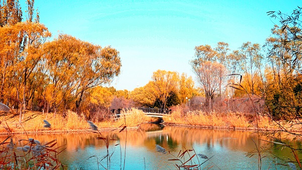 奧林匹克森林公園2.jpg