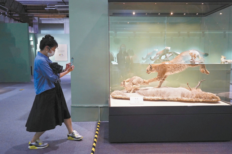 7月12日，由北京自然博物館主辦的“野性之美——中國野生動物展”在展樓一層的陽光廳開展。