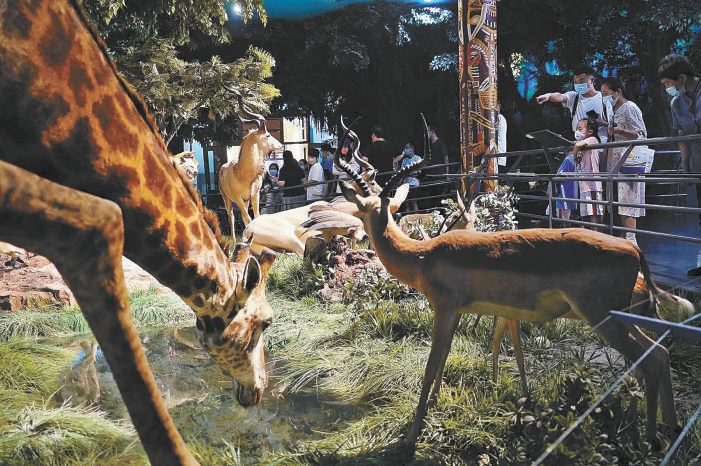 8月2日晚，小朋友們聽著講解參觀標本，增長自然知識。