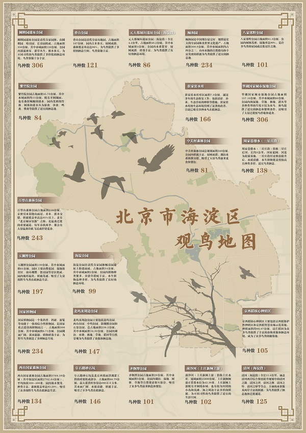 海淀觀鳥地圖發佈 到21處觀鳥點位邂逅鳥“明星”