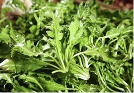 【北京疾控提醒您】野菜別亂採！這份“春日野菜食用安全指南”請收好