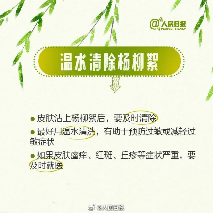 北京進入飛絮期 緊急提醒！