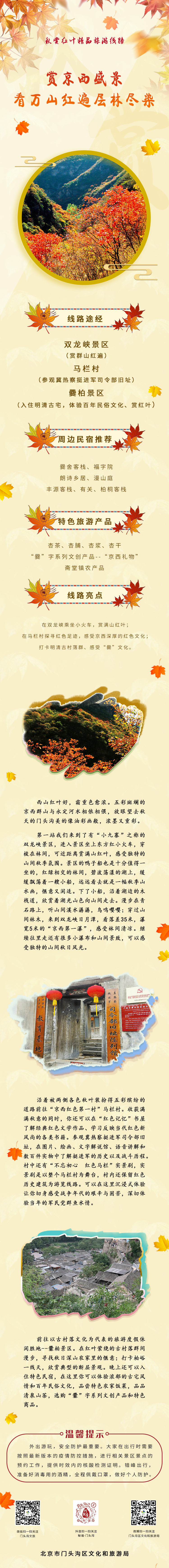 賞紅葉線路2