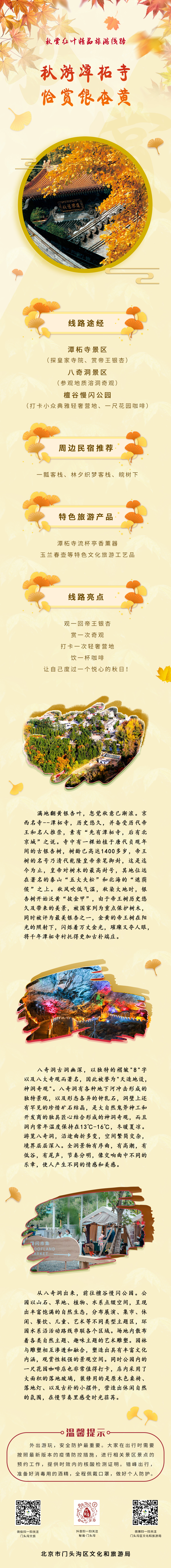 賞紅葉線路3