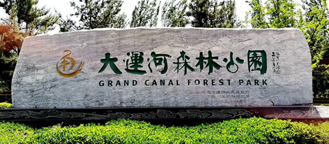 科學教育及其他社會事業