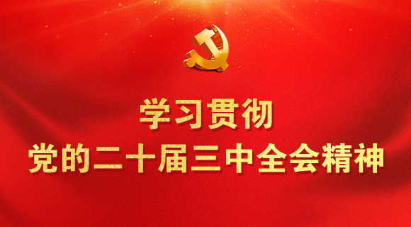 學習貫徹黨的二十屆三中全會精神