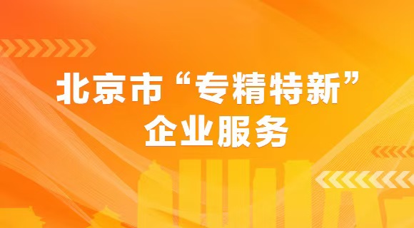 北京市“專精特新”企業服務
