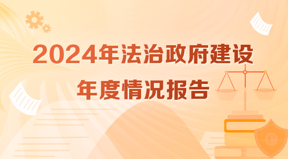 2024年法治政府建設年度情況報告