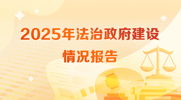 法治政府建設年度情況報告