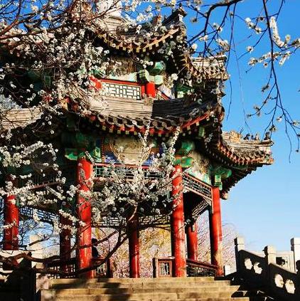 頤和園春色滿園