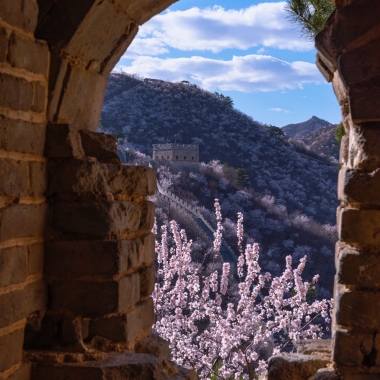 懷柔水長城 山花爛漫正當時