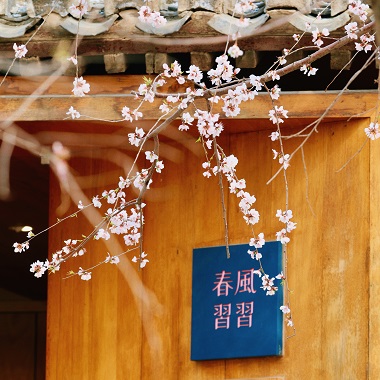 三里河桃花源記