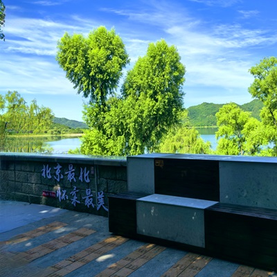 懷柔水庫湖畔一樹生 “心”