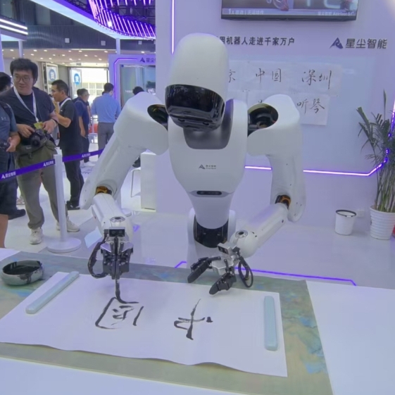 2024世界機器人大會上演機器人“總動員”