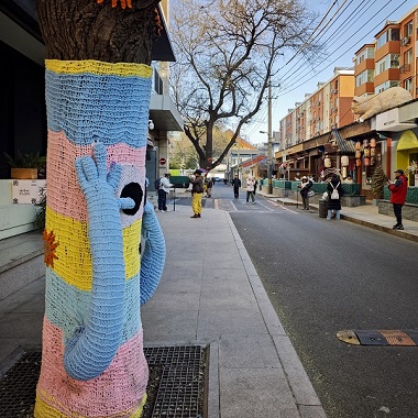 紅星衚同有冬裝