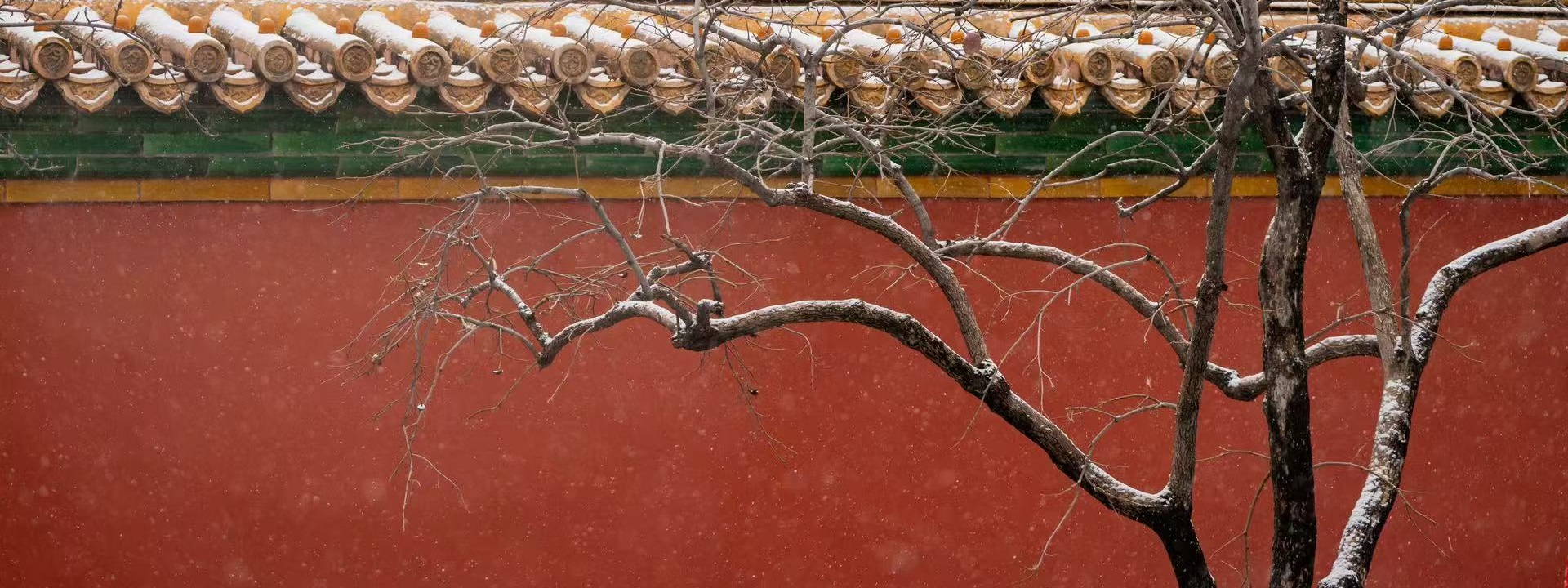 紅墻白雪——故宮冬日美學