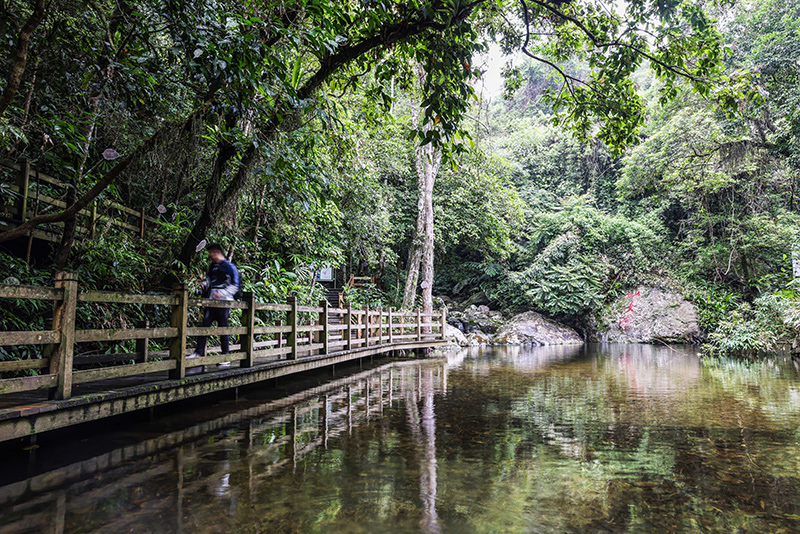 游客在海南熱帶雨林國家公園五指山片區的仙女潭游覽（2022年5月17日攝）。