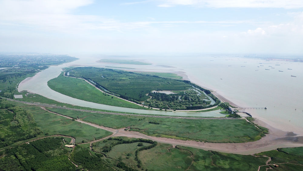 這是2023年7月25日拍攝的上海崇明西沙濕地公園（無人機照片）。