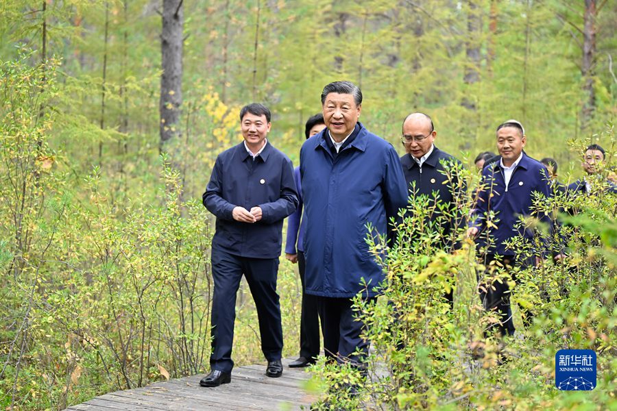 9月6日至8日，中共中央總書記、國家主席、中央軍委主席習近平在黑龍江考察。這是6日下午，習近平在大興安嶺地區漠河市漠河林場自然林區考察。（殷博古 攝）