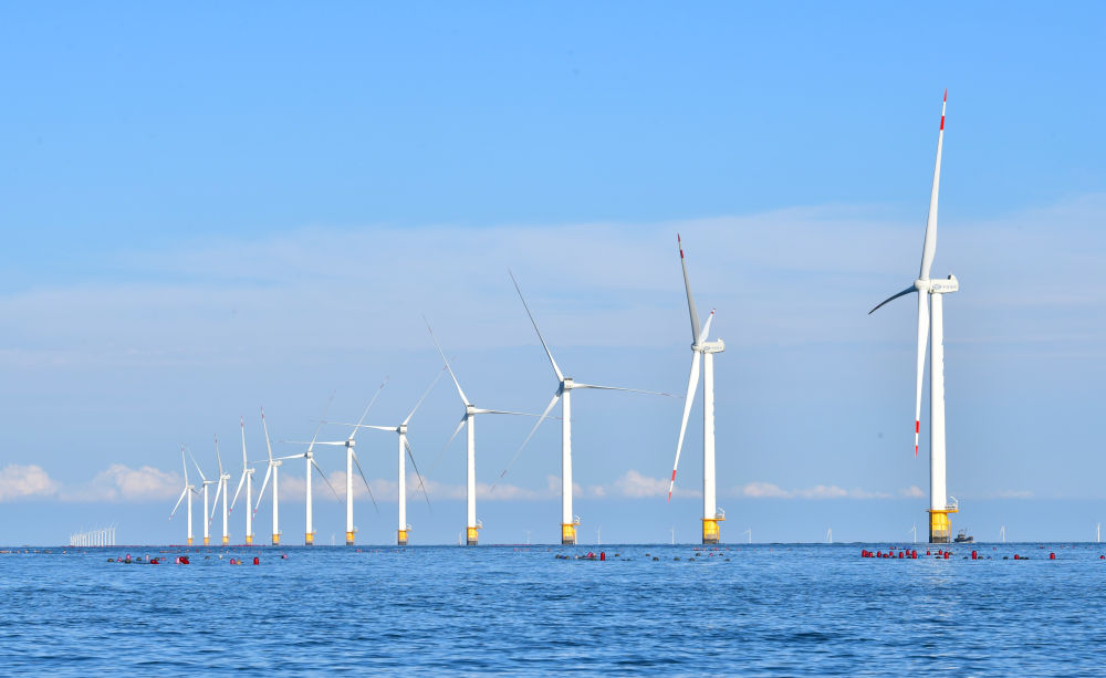 2023年9月13日拍攝的遼寧大連莊河海上風電項目。