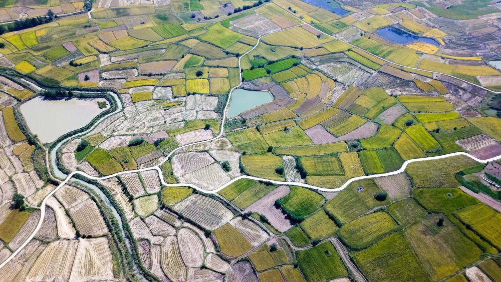 安徽省鳳陽縣小崗村的田野景象（2018年9月27日攝，無人機照片）。