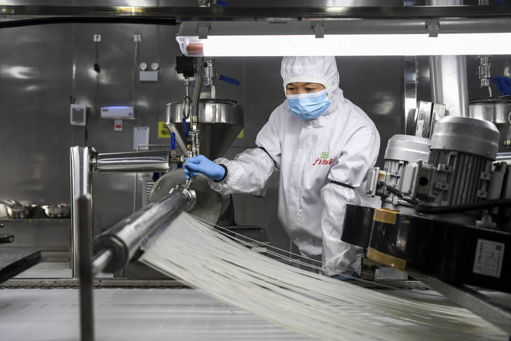 在廣西柳州市一家螺螄粉生産企業，工作人員在查看米粉的生産情況（2024年12月13日攝）。