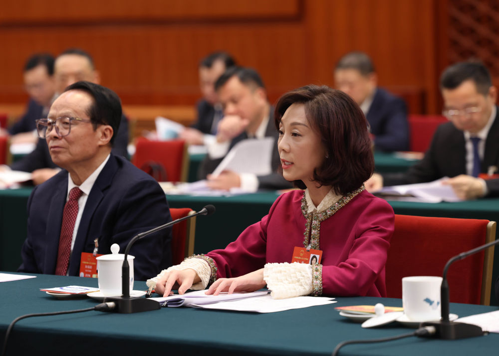 2025年3月5日，全國人大代表王麒在四川代表團全體會議上發言。