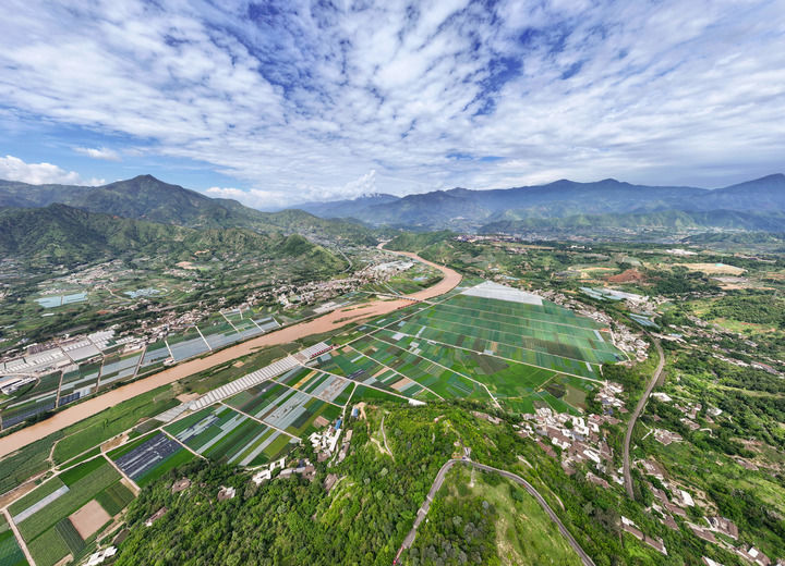 2025年7月9日拍攝的四川省攀枝花市米易縣撒蓮鎮安全村高標準農田（無人機照片）。