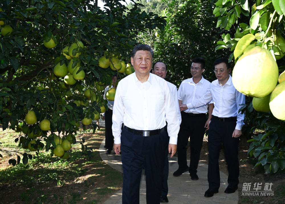 習近平在廣東省梅州市考察調研