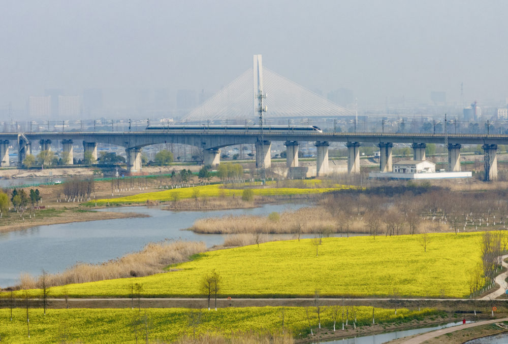 2026年3月11日，一列高鐵列車穿行在安徽省合肥市肥東縣十八聯圩生態濕地（無人機照片）。