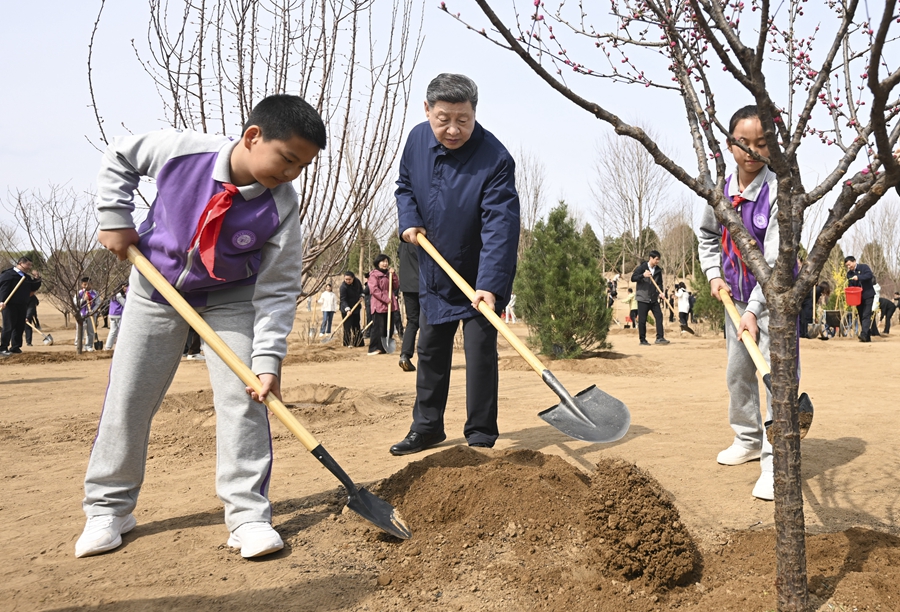 3月30日，黨和國家領導人習近平、李強、趙樂際、王滬寧、蔡奇、丁薛祥、李希等來到北京市昌平區百善鎮參加首都義務植樹活動。這是習近平同大家一起植樹。
