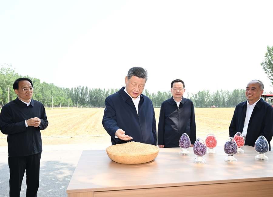6月24日，中共中央總書記、國家主席、中央軍委主席習近平在山東省德州市考察。這是習近平在陵城區邊臨鎮東于架村了解當地“三夏”生産情況。