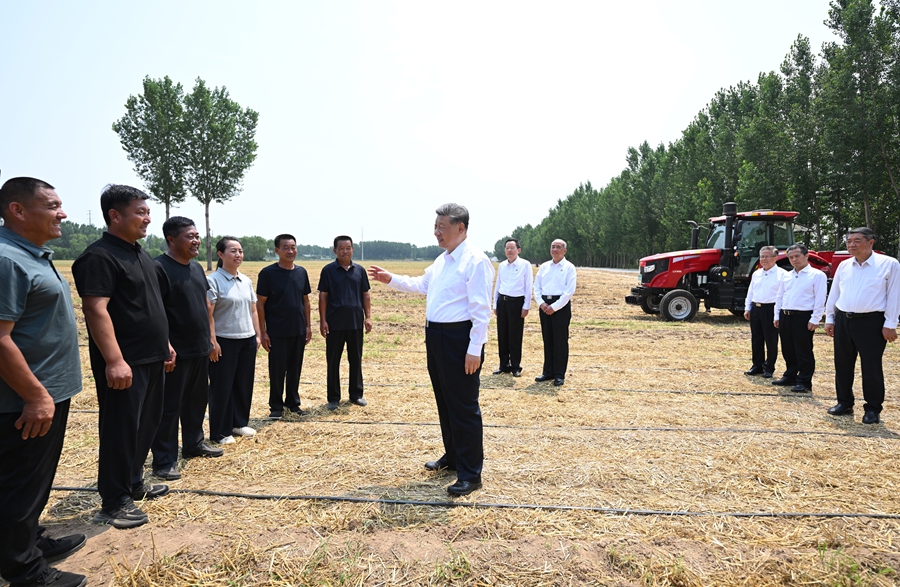 6月24日，中共中央總書記、國家主席、中央軍委主席習近平在山東省德州市考察。這是習近平在陵城區邊臨鎮東于架村，走進農田同種糧大戶、農機手、農技人員親切交流。