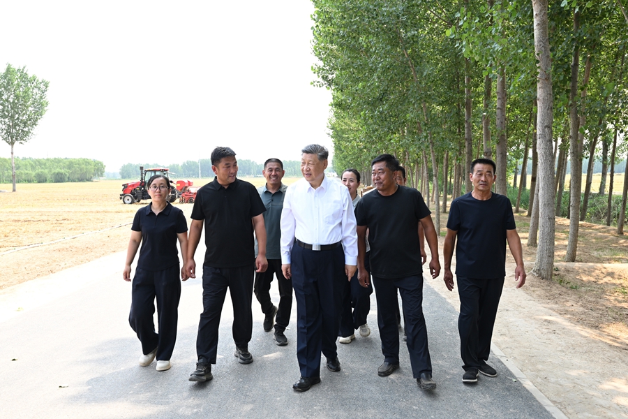 6月24日，中共中央總書記、國家主席、中央軍委主席習近平在山東省德州市考察。這是習近平在陵城區邊臨鎮東于架村同種糧大戶、農機手、農技人員親切交流。