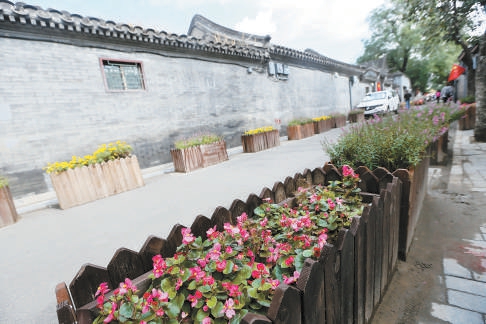修繕後的雨兒衚同，花草點綴，清新古樸。