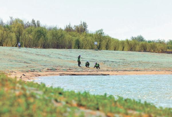 4月9日，中交二航局工作人員沿河道巡查植被生長情況。