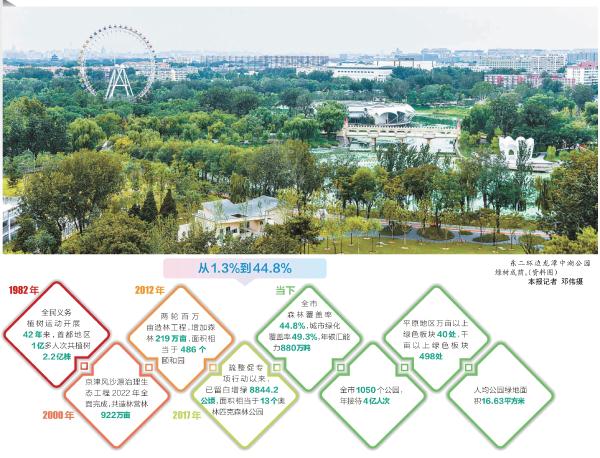 “凝心繪綠”建設森林城市