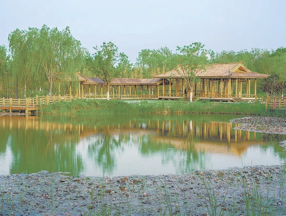 圖為城市綠心森林公園。
