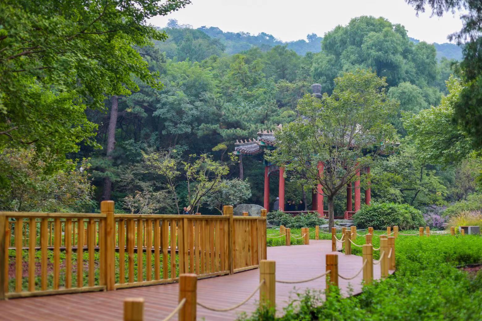 香山公園設立首個古樹保護示範區