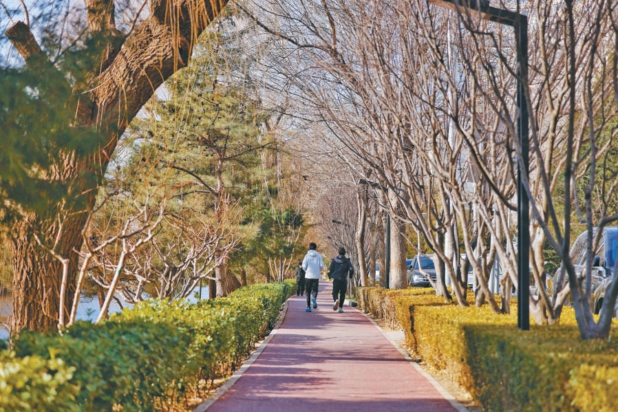 北護城河濱水步道安定門閘北岸中斷點改造前後對比。