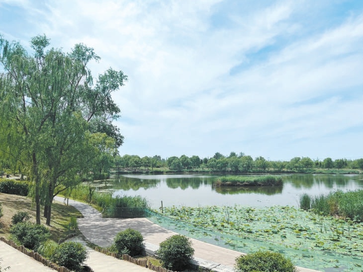 溫榆河公園裏的“五柳觀湖”。