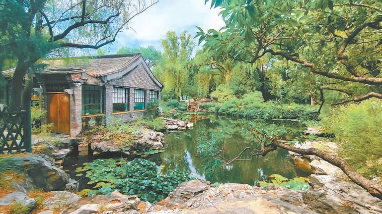 柳蔭公園留春島北側的自然帶，讓鳥類安心棲息。