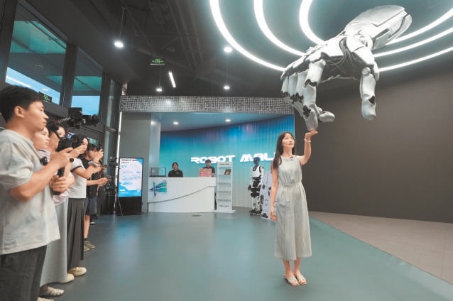 位於亦莊的機器人大世界，為市民游客提供了人機互動的新舞臺，多種多樣的機器人、深入有趣的互動體驗，讓參觀者充分感受前沿科技的魅力。
