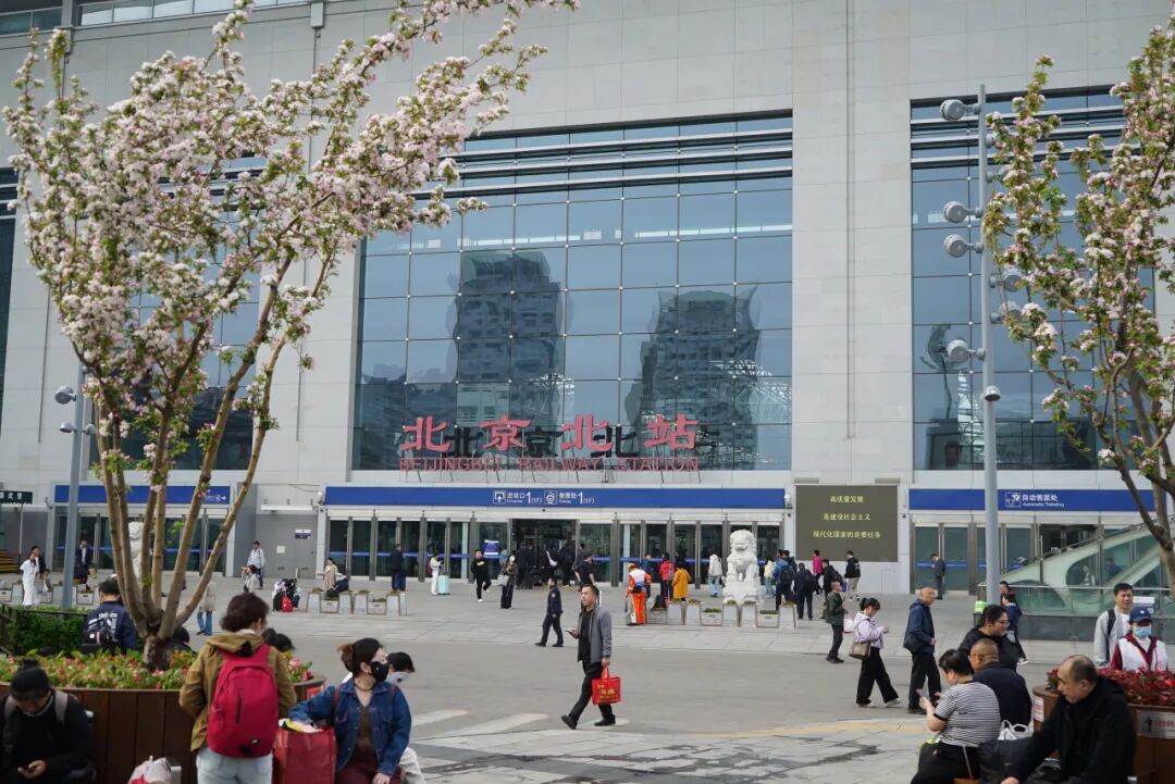 北京北站，街邊堇色映日輝，紅韻嬌含春意圍。