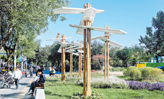 面向全國徵集微花園設計方案 北京114處邊角地金秋變了模樣