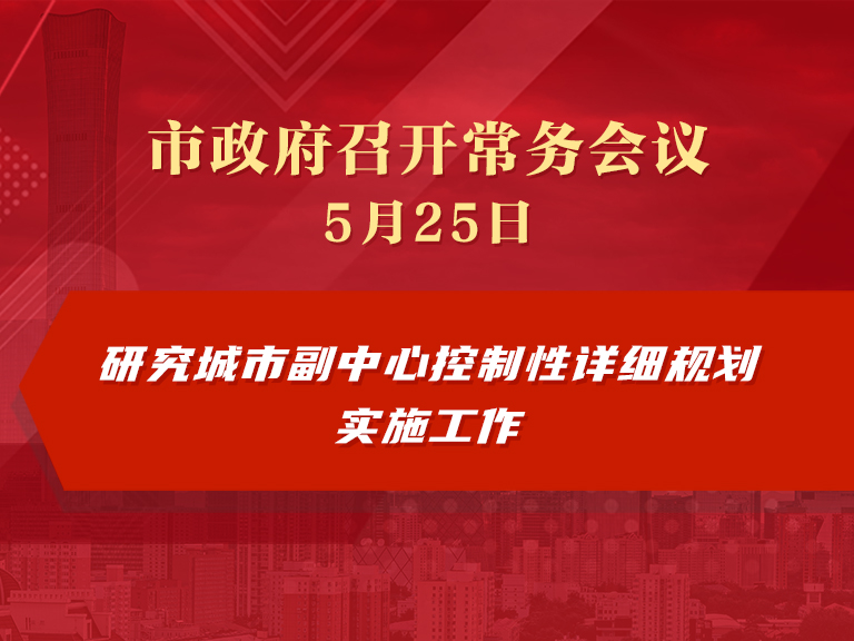市政府常務會議圖解：研究城市副中心控制性詳細規劃實施工作