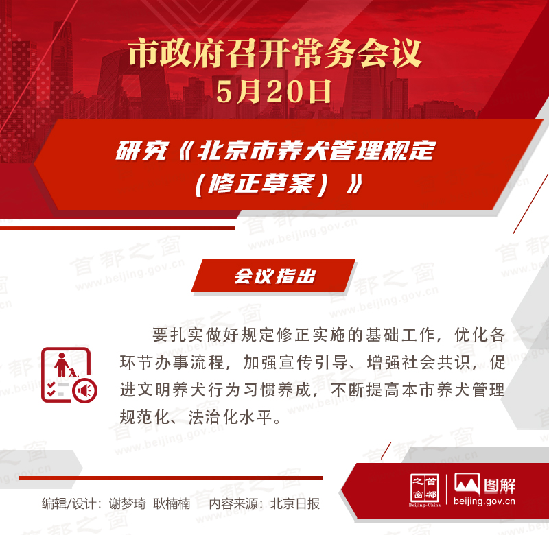 市政府常務會議圖解：研究《北京市養犬管理規定（修正草案）》