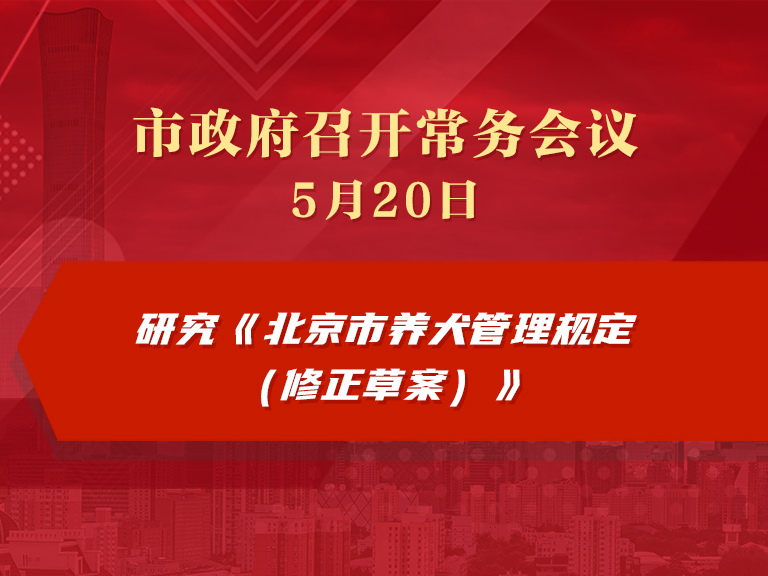 市政府常務會議圖解：研究《北京市養犬管理規定（修正草案）》