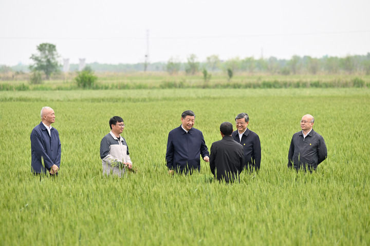 5月11日至12日，中共中央總書記、國家主席、中央軍委主席習近平在河北考察，並主持召開深入推進京津冀協同發展座談會。這是11日上午，習近平在滄州市黃驊市舊城鎮仙莊片區旱鹼地麥田考察時，同種植戶、農技專家親切交流。